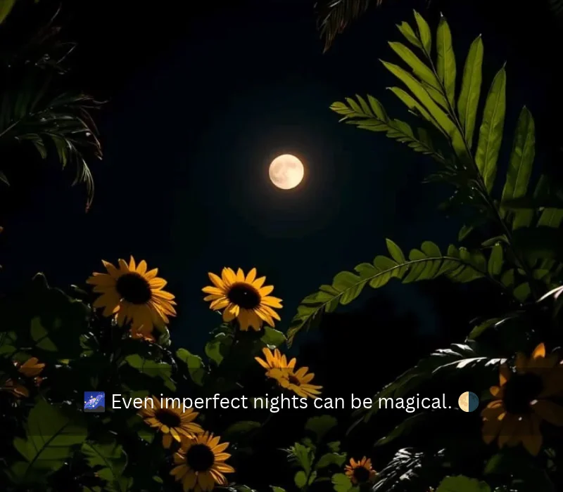 Aesthetic Moon Captions For Instagram