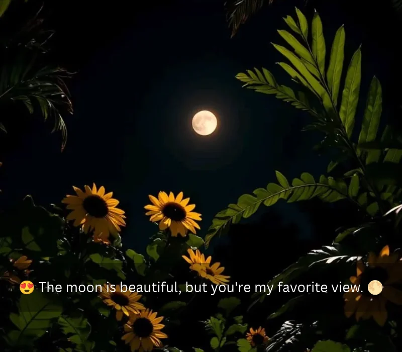 Night Moon Captions For Instagram